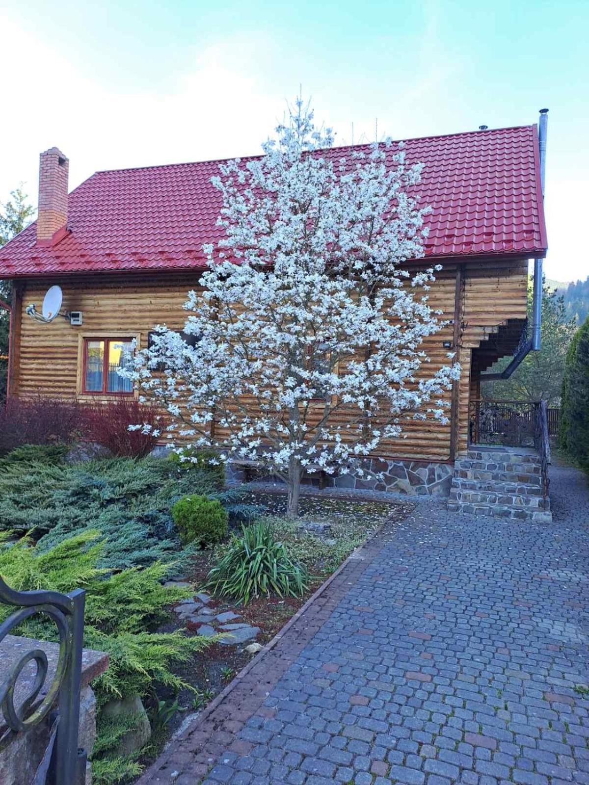 Magnolia Villa Tatariv Exteriör bild